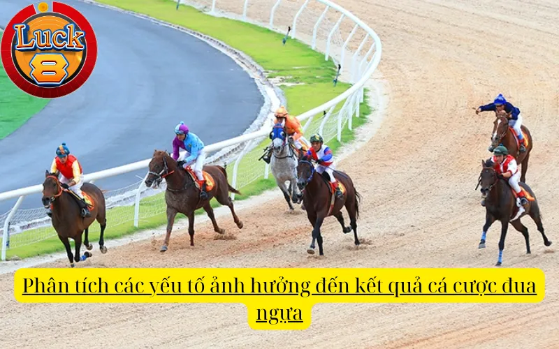 Phân tích các yếu tố ảnh hưởng đến kết quả cá cược đua ngựa
